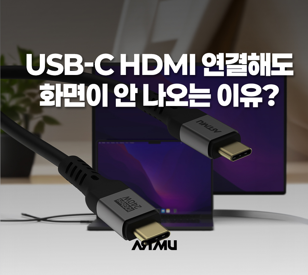 C타입 모니터 연결이 안 되는 이유 DP Alt Mode 기술 가이드